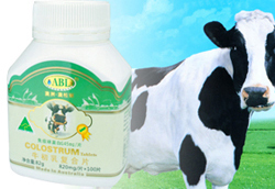 �İ���ţ����Ƭ��(y��u)��(sh��)��B