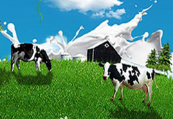 �W�ܶ������Lɳ�Ћ�ͯչ�@���u