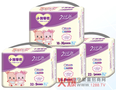 С�i������׼���ѝ �ڴ����ļ���