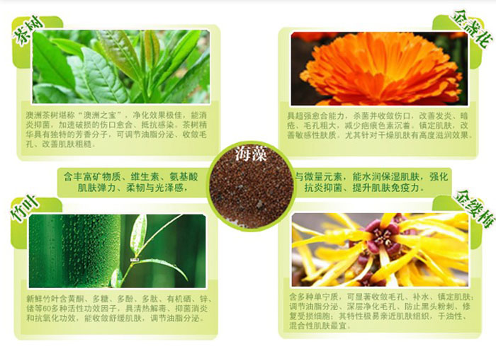 葡萄柚清透無油細膚乳 120ml