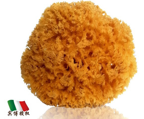 ��ɭ�Ơ���ע����Ȼ���d�a(ch��n)Ʒ���^һ��(g��)���o(j��)