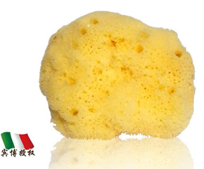 ��ɭ�Ơ����ἡ�w��z���d����坍