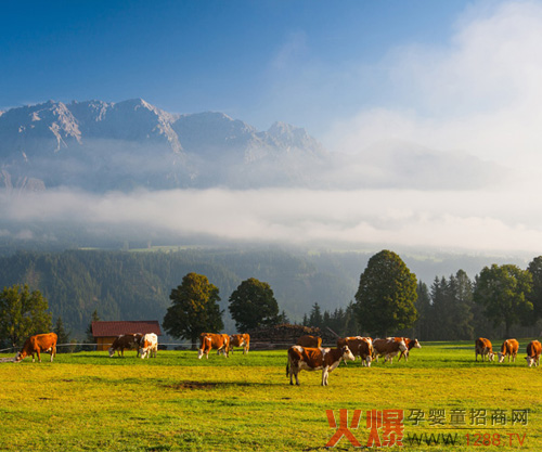 ���𿵋��׃��̷�����ȫ������