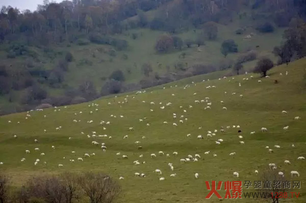 �P(gu��n)ɽ��I(y��)���B(t��i)���� ��(chu��ng)�¹�����ʽ ������H�����B(t��i)����