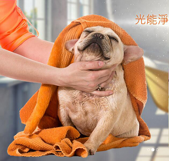 ╓P(y��ng)��(gu��)�H��(sh��)�I(y��)���޹�˾1 ����