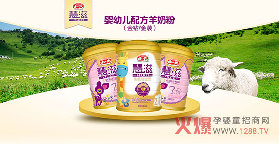 ������ʲô���ۺȺ��ϻ������̷���