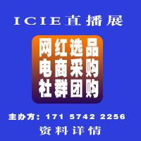 2024��ICIE�Ї����H�W(w��ng)�tֱ����̽��ײ��[��(hu��)