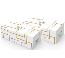 ���ۋ��׃����