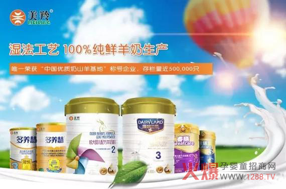 ��̥�t���ߟ����̷� �t�����������α�e��(y��u)�|��������