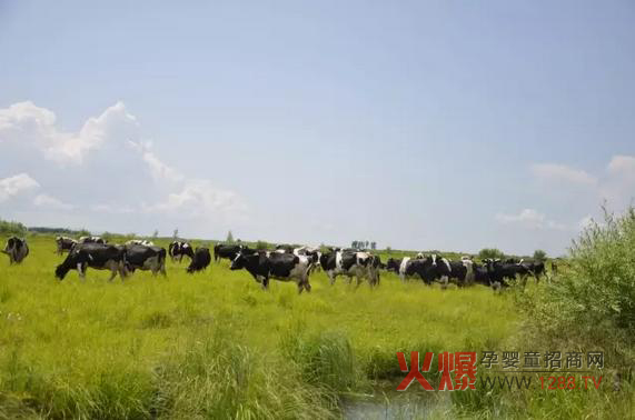 ���_(d��)ɽ�̷۞�Ε�(hu��)�ܵ��@ô���˵�ϲ����