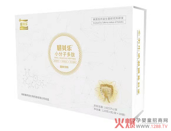 ��ؐ��С���Ӷ��Ĺ��w��� �àI(y��ng)�B(y��ng)���ཡ����