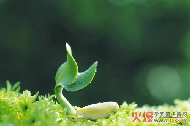 �L���c�����ߡ��p���� �@������ؐ���߽o�҂��µ��x��