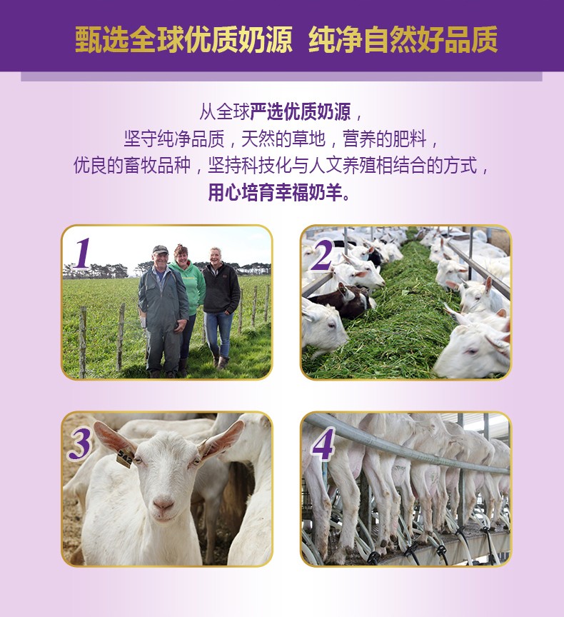  �����׃��䷽���̷ۣ�12-36���g��3�Σ�_03