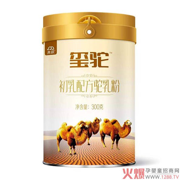 2020�Ă����ӵ��̷ۺ��u��׌�t����۽o��𰸣�