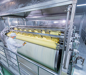  ��������S31