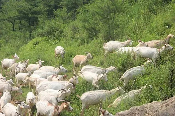 陜西佑慧滋營養(yǎng)食品與您相約南京展會05.jpg 陜西佑慧滋營養(yǎng)食品與您相約南京展會05.jpg