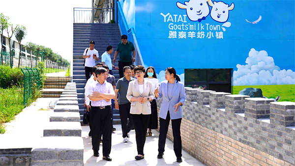 圖片3.jpg 圖片3.jpg