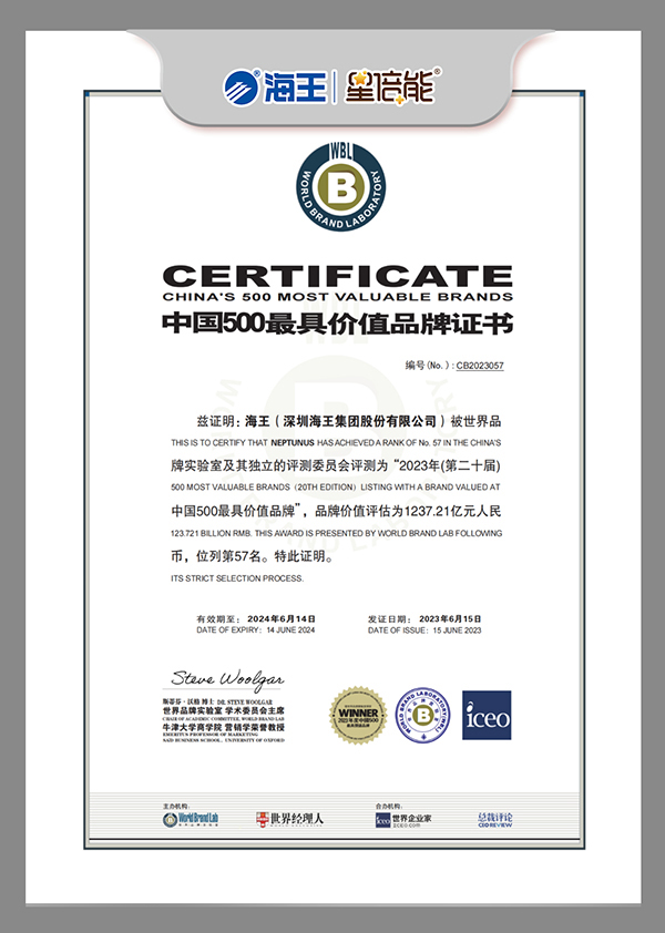 海王集團(tuán) 500強(qiáng)證書(shū) 最新.jpg 海王集團(tuán) 500強(qiáng)證書(shū) 最新.jpg