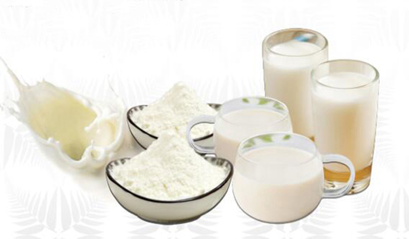 新西蘭奧拉營06.jpg 新西蘭奧拉營06.jpg