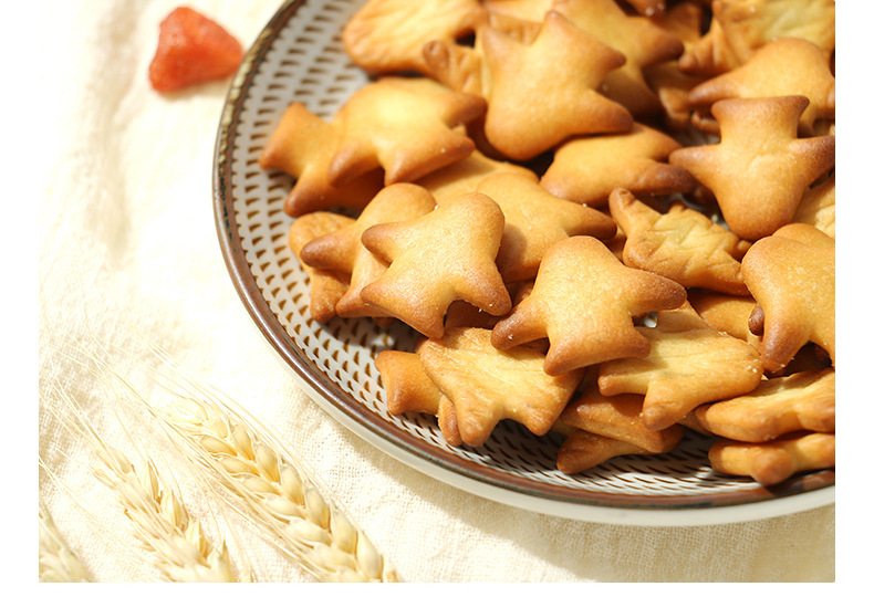 海鹽造型飛機餅干 (9).jpg