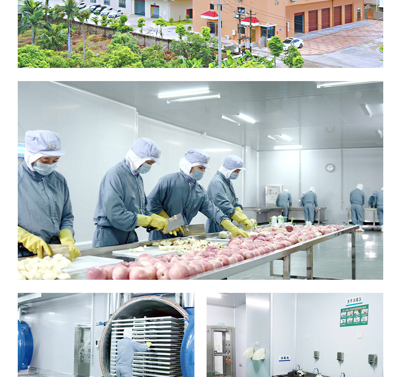 恐龍造型兒童餅干 (13).jpg