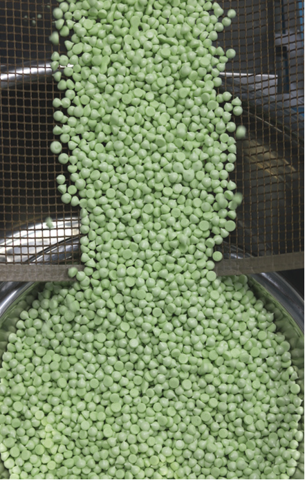 �¸ɠ�ԪʳƷ�ܶ����ӹ����\��ȫ���^(q��)��������