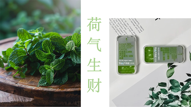 ��Ɵo����ڱ��� ����ζ.png