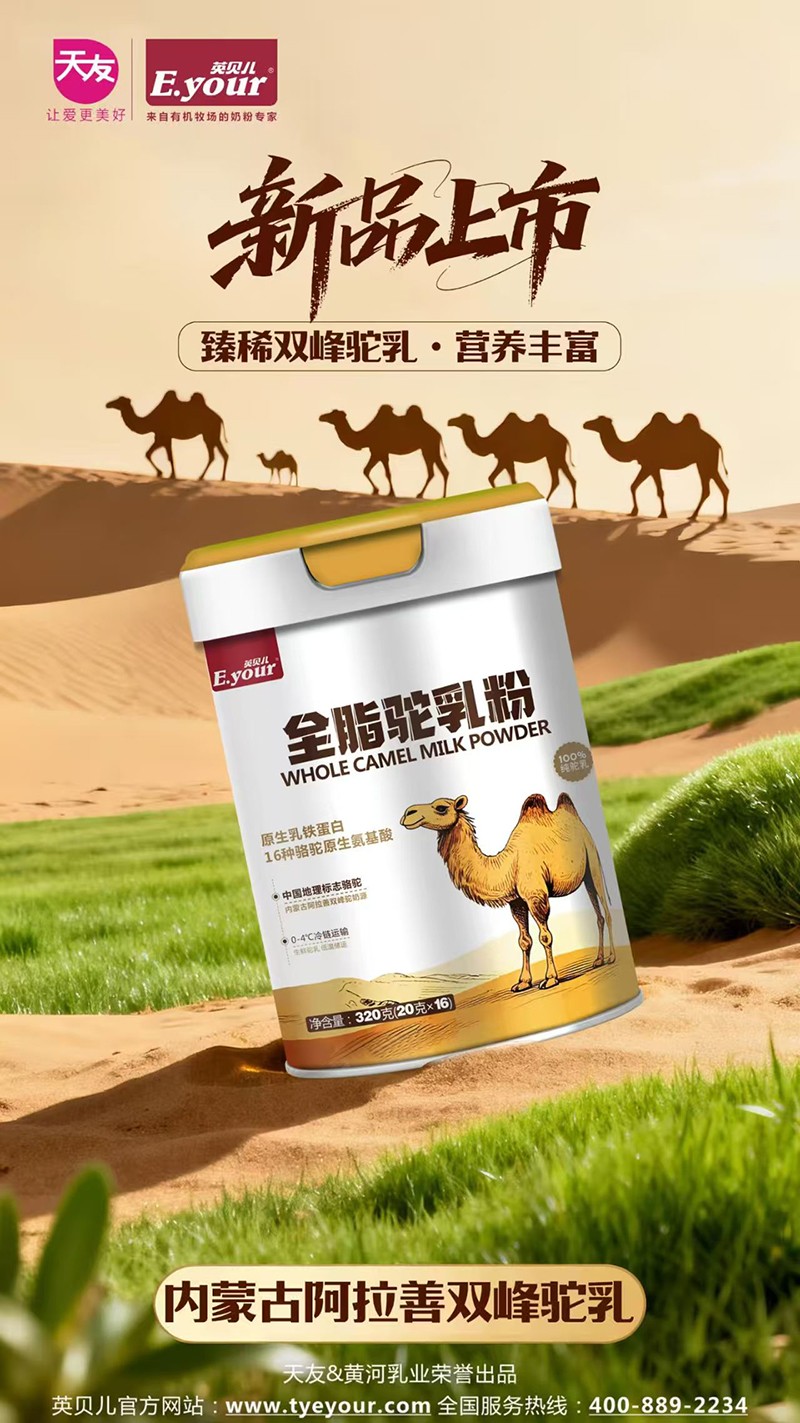 Ӣؐ��ȫ֬����