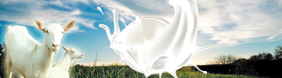 ������̿��̷۠I�N����