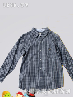 ɭ�R��ͯ���s����