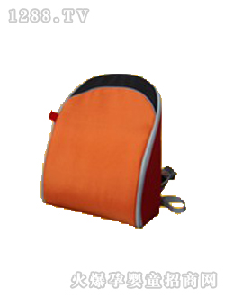 ���P�������tɫ