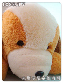 ���Ľz��ſ��