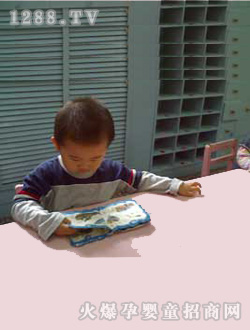 С�������L�����n��