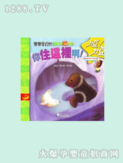 �����D��(sh��)-��ס�@�ﰡ