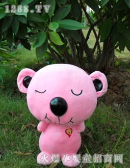 �d��Դ�ɷ���6007