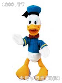 ������ͨë�q���������