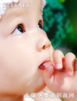 ���Ȑ�(��i)ؐ��ע�Č���