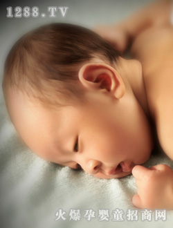 安琪爾睡覺(jué)寶寶