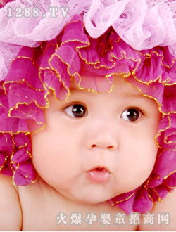 ���쌚���ɐ�(��i)��