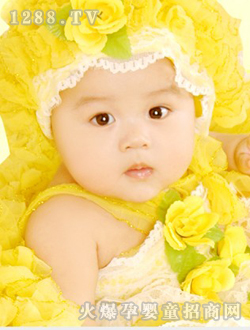 ���쌚���ɐ�(��i)��Ƭ