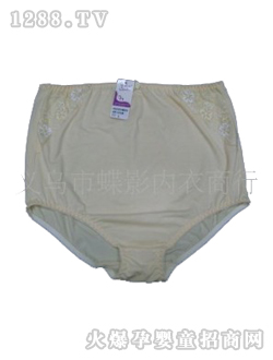 ���������ЋD��(n��i)ѝ