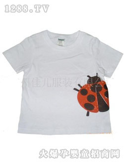 �у���ɫ��ͯT��