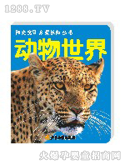 ꖹ⌚ؐ�������熢�Ʌ���