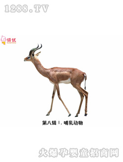 �����ٿƿ��ڰ�݋