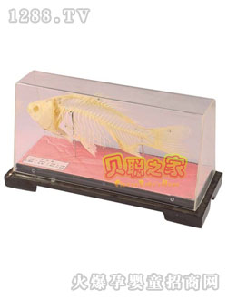 ؐ�~(y��)������(bi��o)���̾�