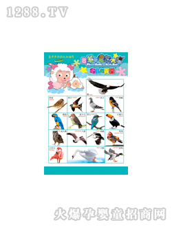 ���L(f��ng)�B�������ÈD��