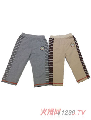 ���Z�����Lѝ