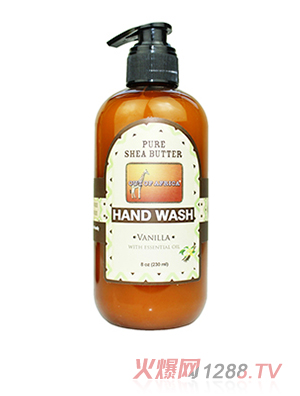 ��ľ��ϴ��Һ ���