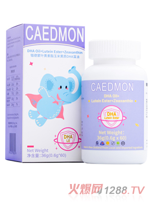 �|�����~�S���������S�|DHA����