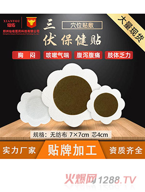 廠家現(xiàn)貨三伏貼冬季調理穴位貼溫灸發(fā)熱貼草本保健三九貼批發(fā)代發(fā)